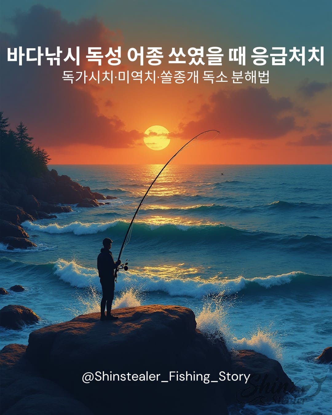 독가시치, 쏠종개 등 독가시를 가진 어종의 식별법과 자상을 입었을 때의 단계별 의학적 응급처치 지침서.