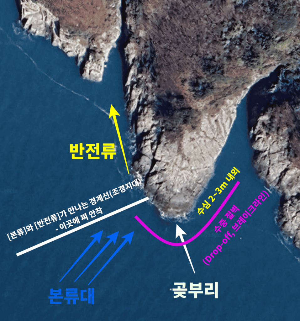 벵에돔 낚시 조경지대 및 밑밥 집결 포인트 시각 자료
