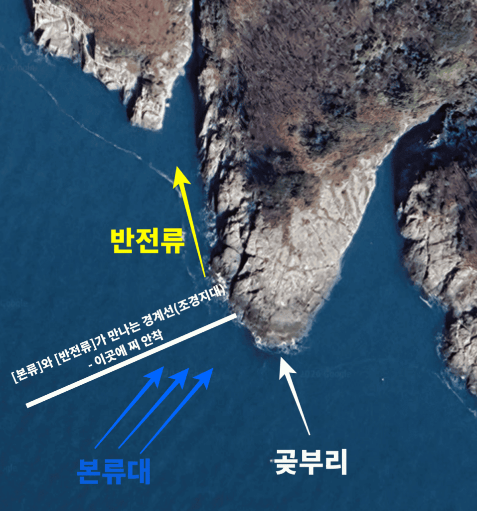 벵에돔 대물 포인트 수중 여밭 브레이크라인 수심 판독도