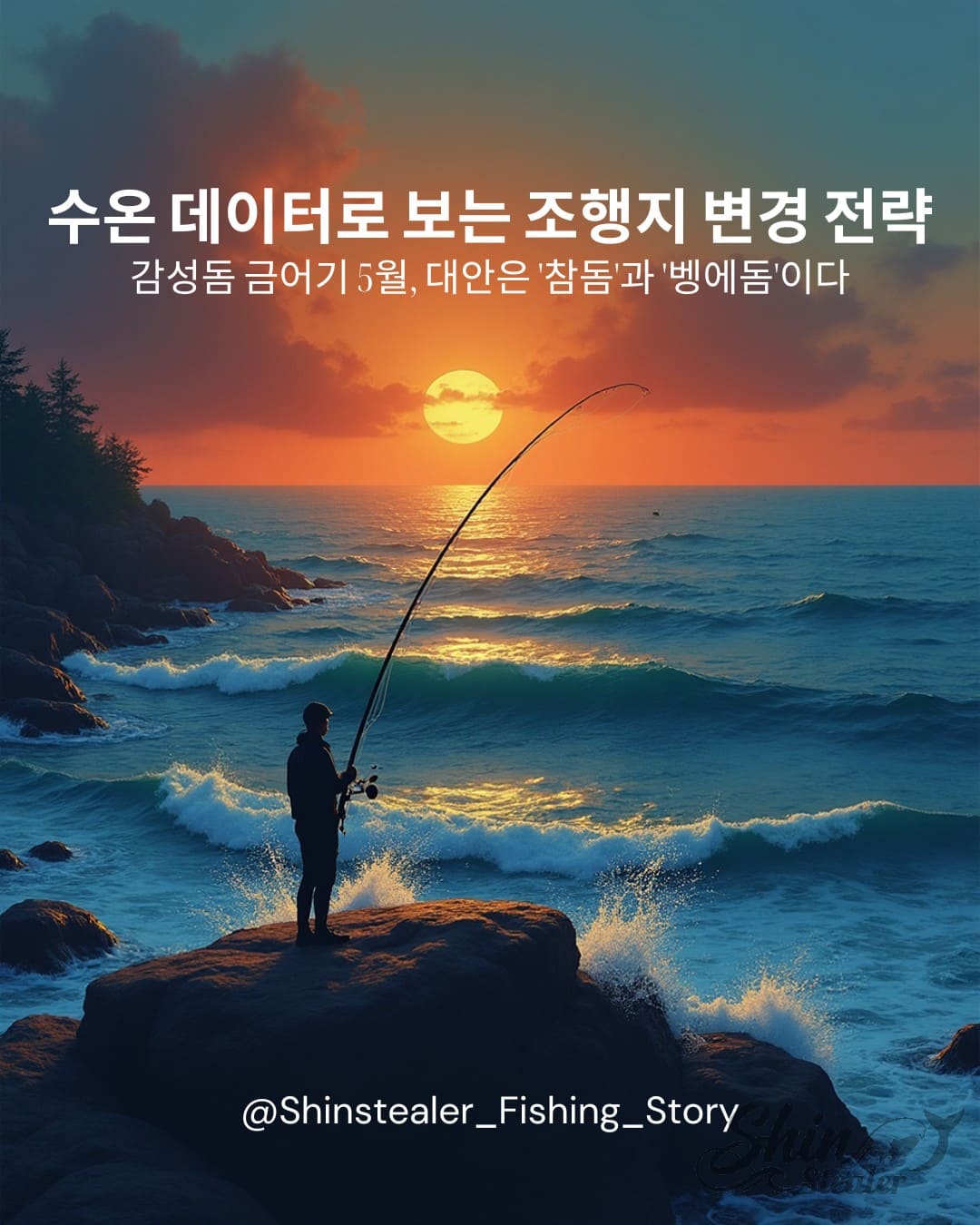 5월 감성돔 금어기 팩트와 과태료 80만 원 수치 데이터, 수온 15~18도 기준 참돔 및 벵에돔 조행지 변경 전략을 분석한 수익형 블로그 대표이미지