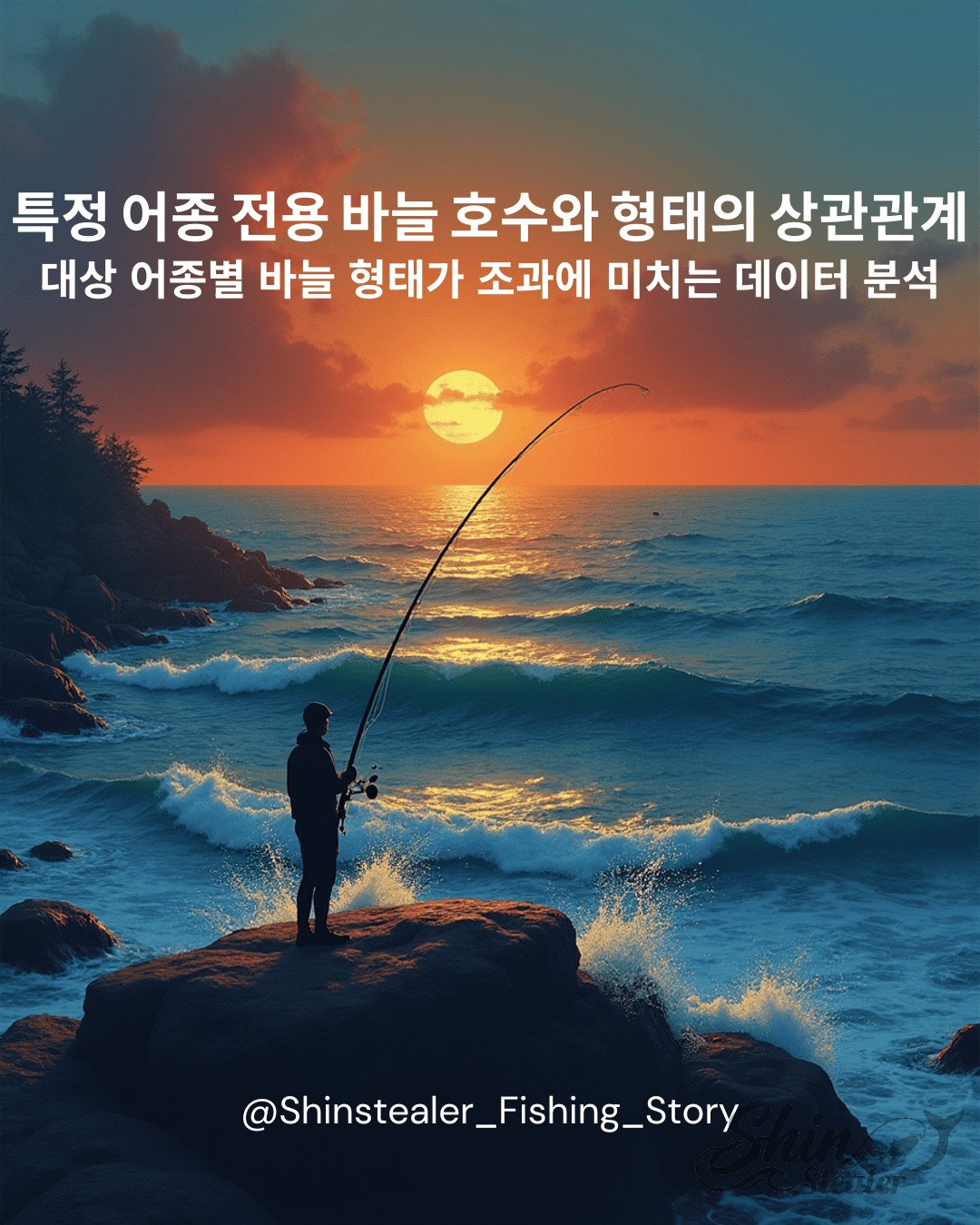 특정 어종 전용 바늘 호수와 형태의 상관관계 데이터 분석 표지